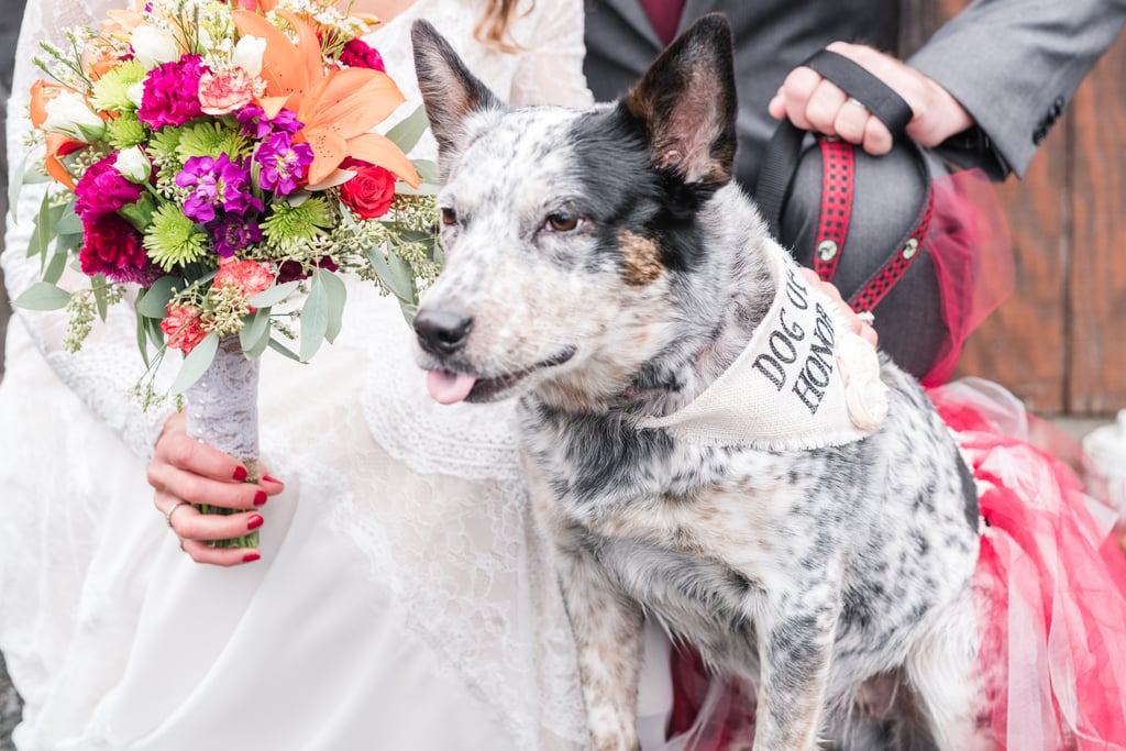 Dogs in Weddings