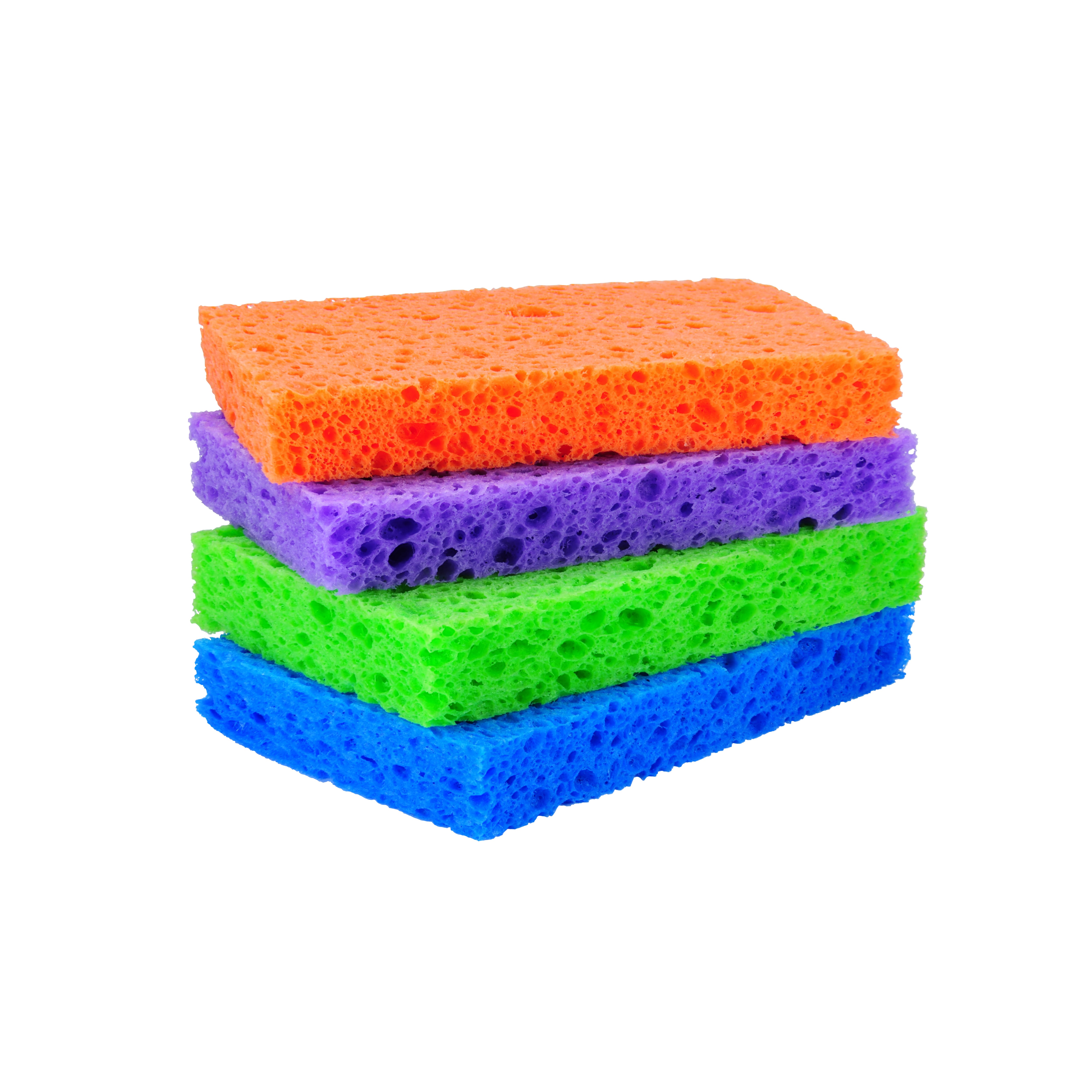 How to Clean a Sponge  POPSUGAR Smart Living