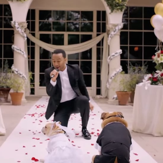 John Legend Singing in Dog Wedding | Video