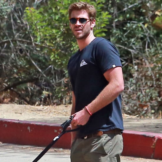 Liam Hemsworth Walking His Dog August 2015 | Pictures