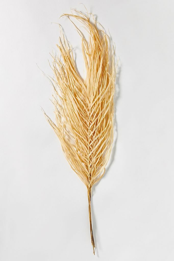 Bleached Areca Palm Leaf