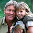 Bindi Irwin's Daughter Can't Hold Back Excitement Over Photo of "Grandpa Crocodile" Steve Irwin