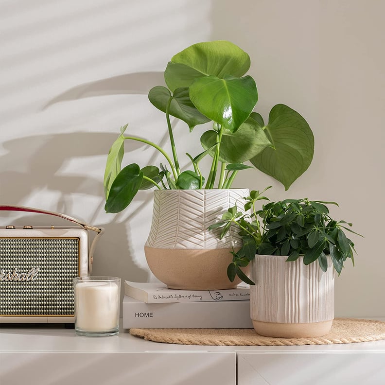 A Boho Vibe: La Jolíe Muse Ceramic Planter Set