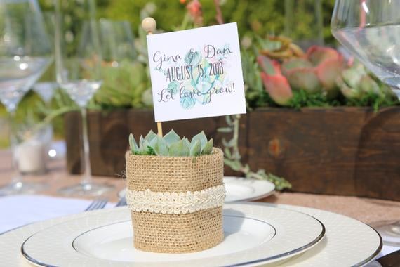 Rosette Succulents With Personalized Tags