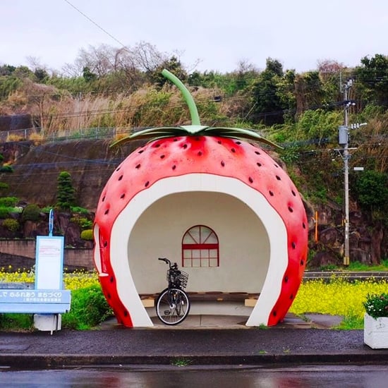 Fruit Bus Stops in Konagai, Japan
