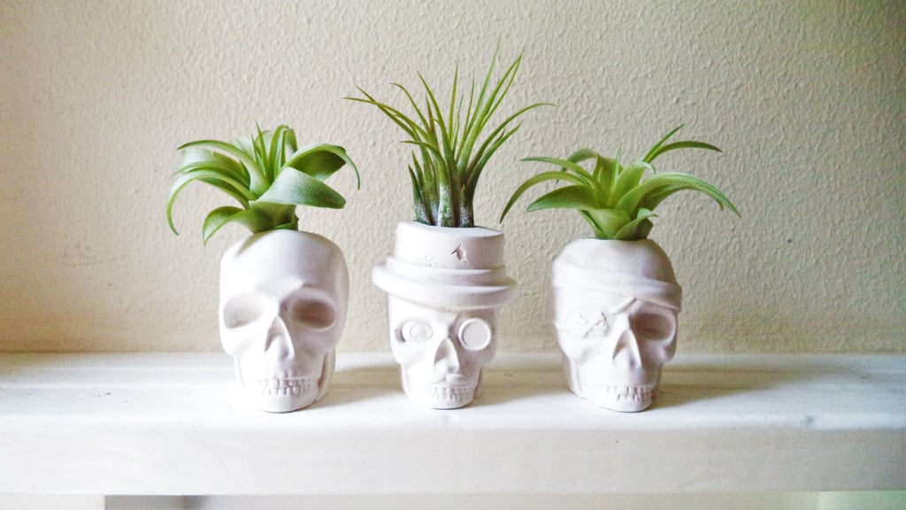 Why settle for just one skull when you can get this set of three ($42)?