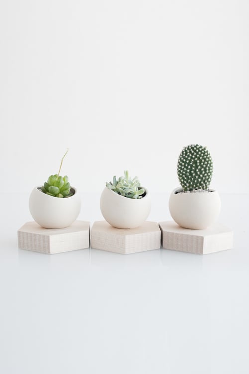 Ceramic Cup and Solid Maple Hexagonal Stand