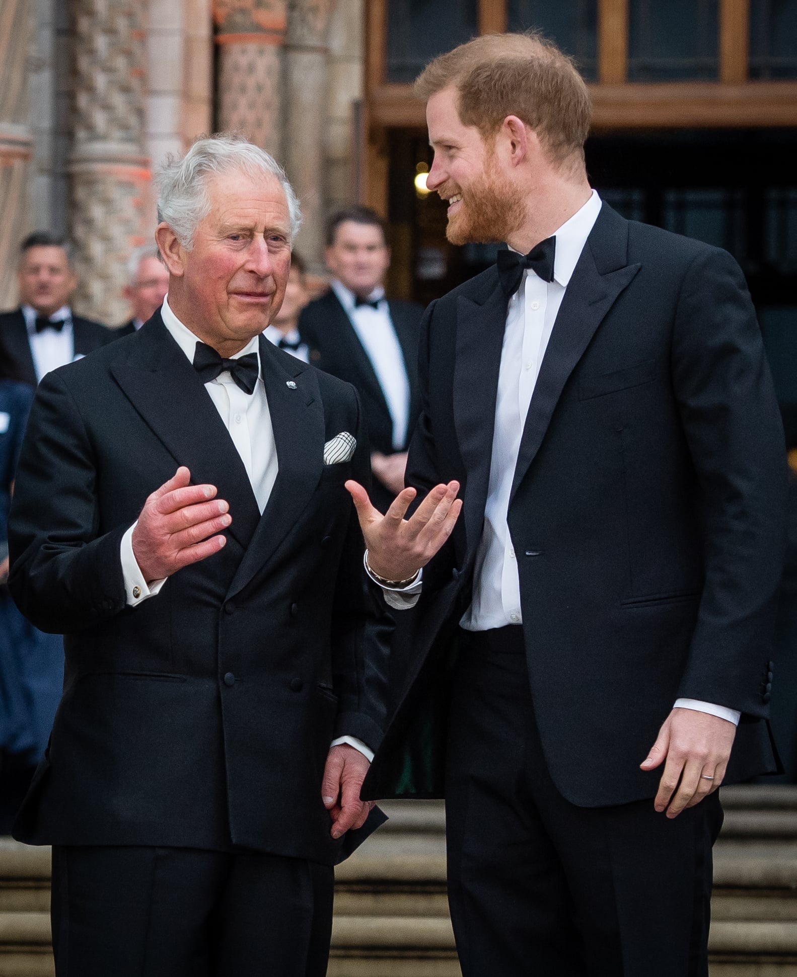 Harry, William, and Charles at Our Planet Premiere 2019 | POPSUGAR ...