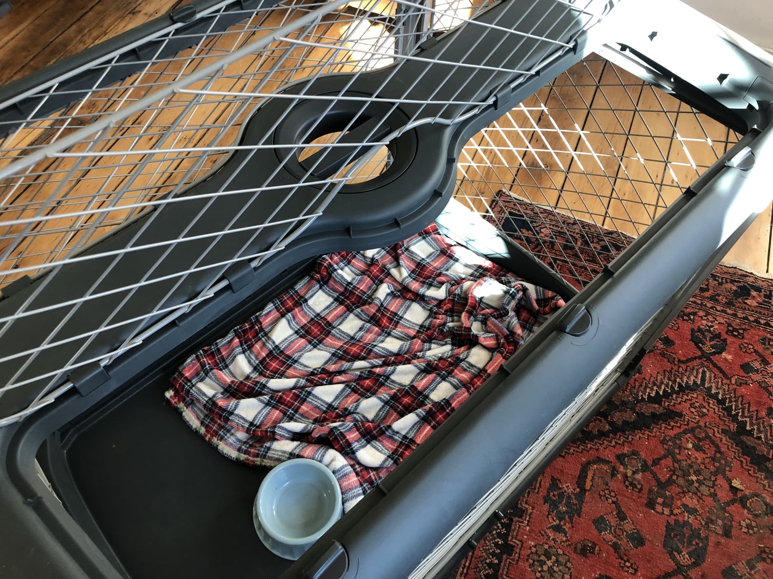 The Diggs Revol Dog Crate Review POPSUGAR Pets