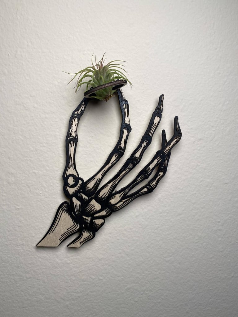 Skeleton Hand Wall Hanging Reversible Air Plant Holder