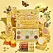 ColourPop Winnie-the-Pooh Makeup Collection With Photos