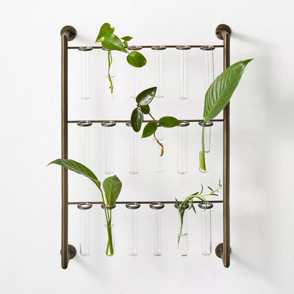 For Plant-Lovers: Hilton Carter for Target Metal Hanging Stem Plant Stand