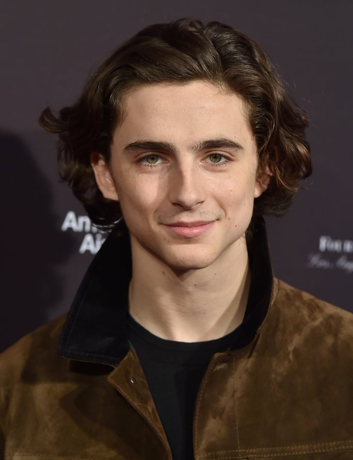 timothée chalamet funko pop
