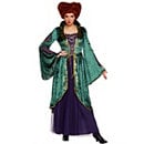 Adult Winifred Sanderson Costume