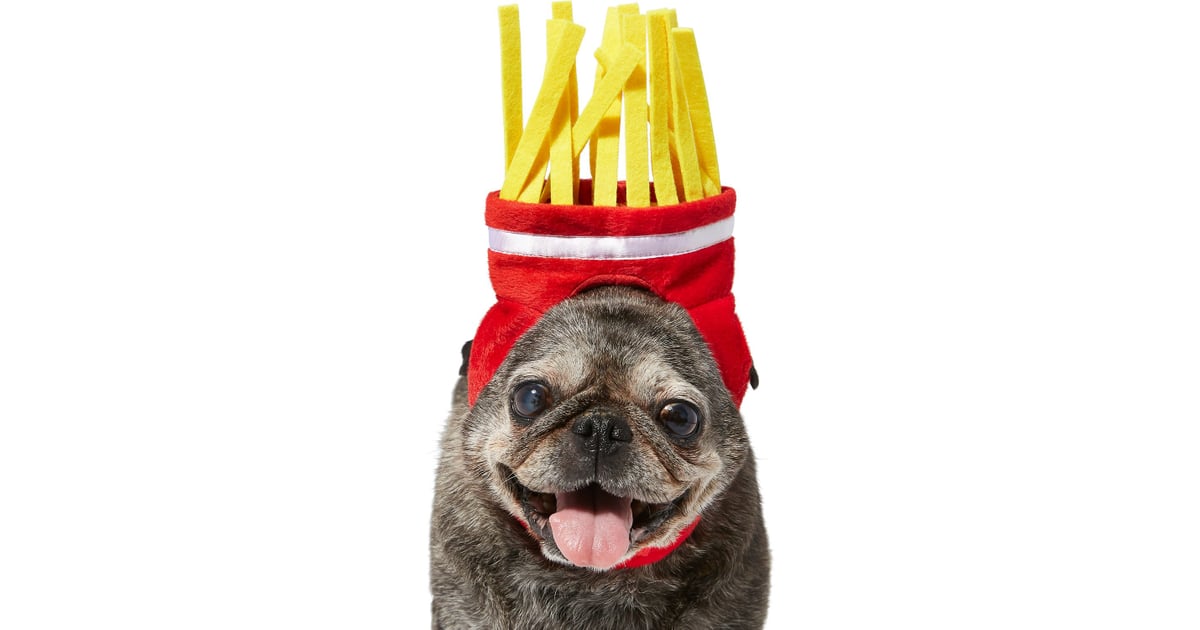 dog french fry hat
