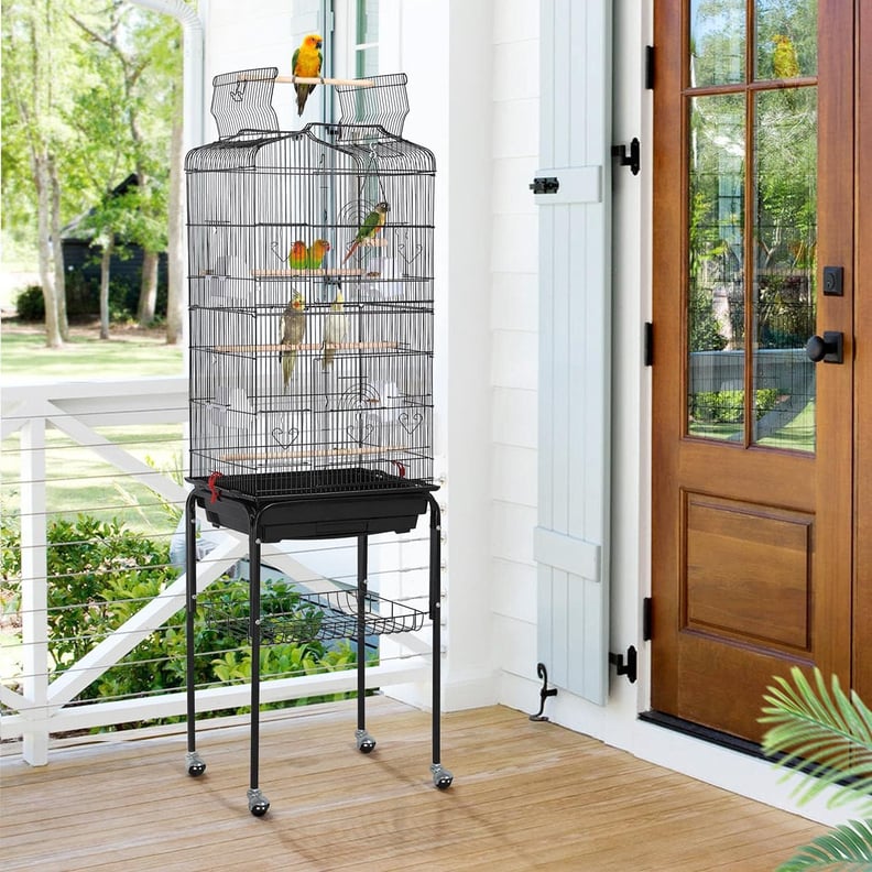 A Deal on Bird Cages