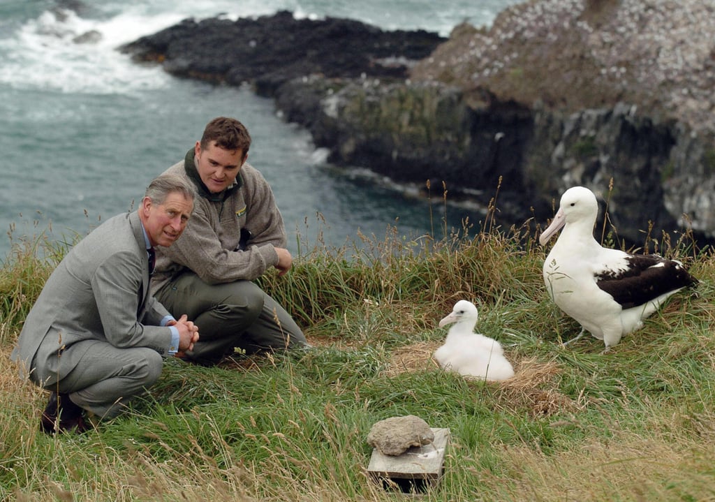 Photos of Prince Charles With Animals