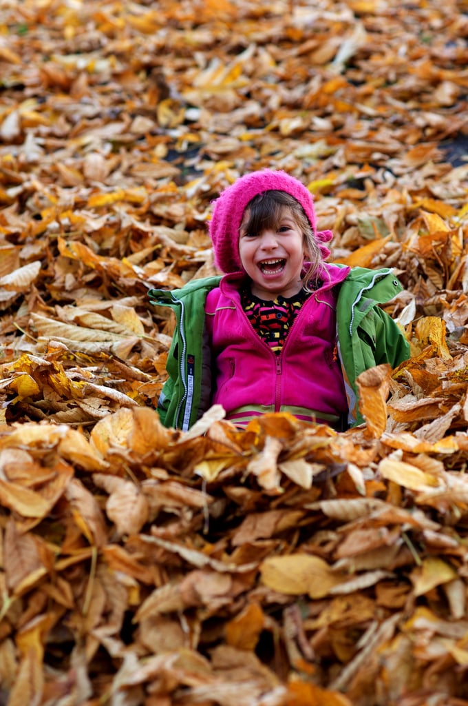 Jumping in the Leaves