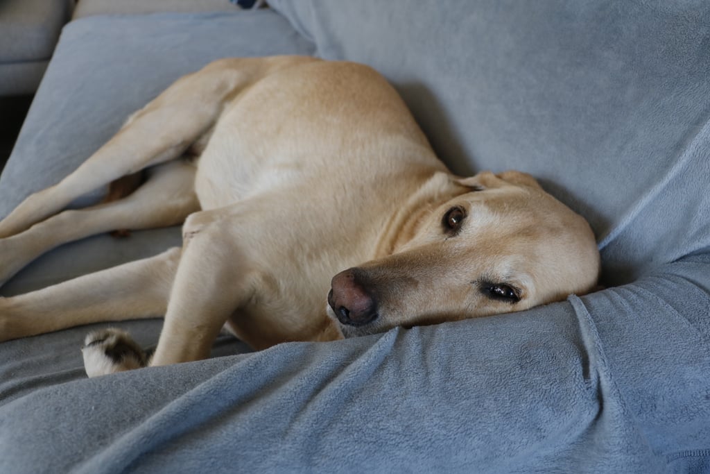 Just sit on the floor next to someone you love.​
