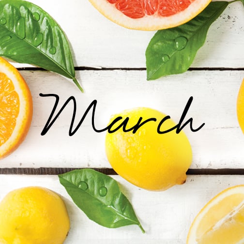 Find Out What Inspired the March Must Have Box!