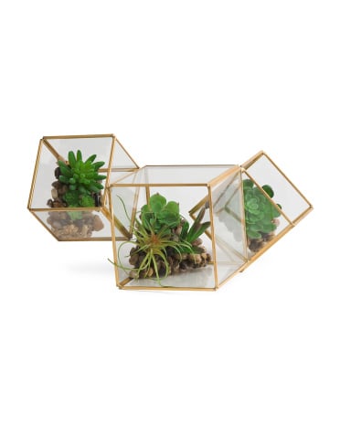 Faux Plant in Cube Terrarium ($40)