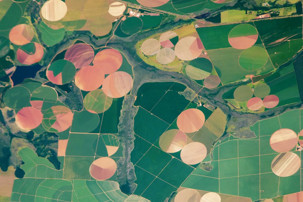 In 2011, this photo was taken from the International Space Station, giving us a unique look at the agricultural landscape in the western part of the Minas Gerais state in Brazil. 
Source: Expedition 26 Crew/NASA