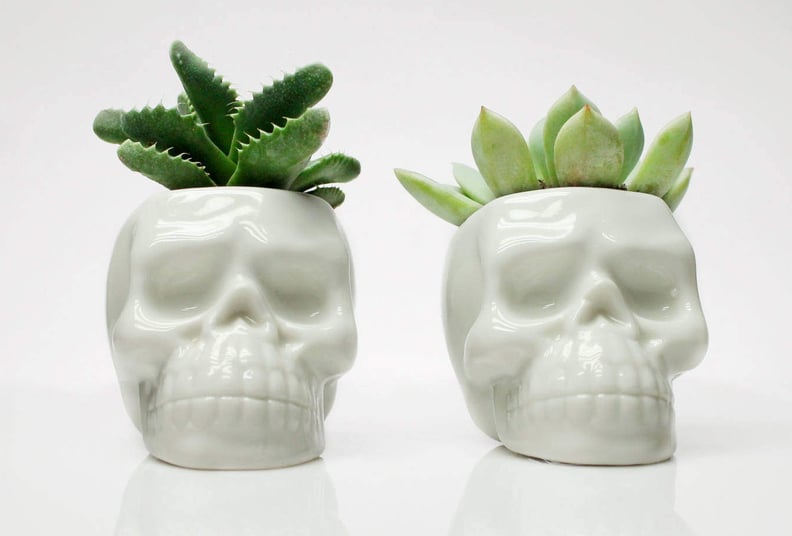 Desk Planters