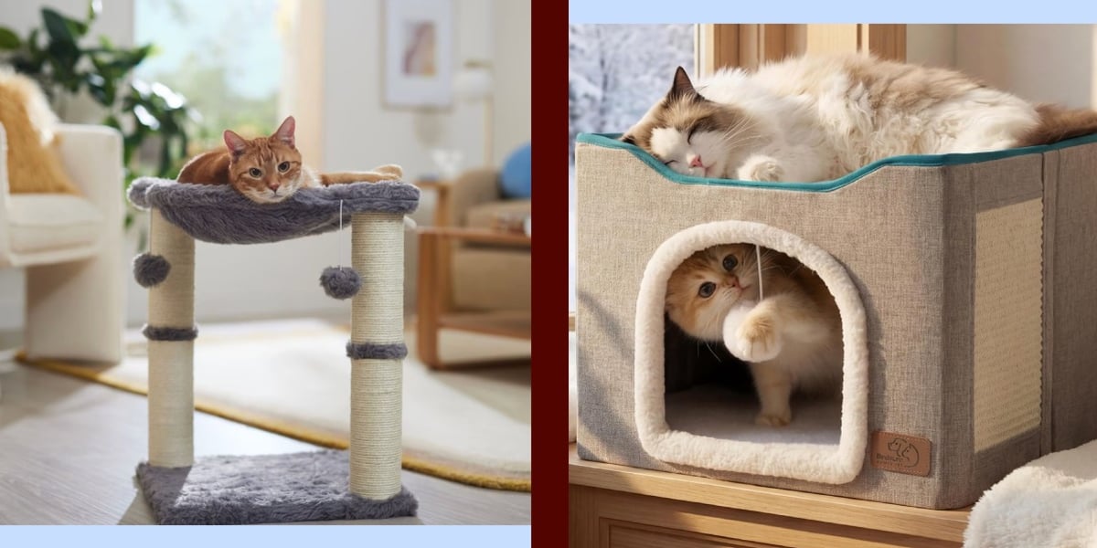 Calling All Cat Ladies! Shop Purrfect Gifts According to Cat Owners