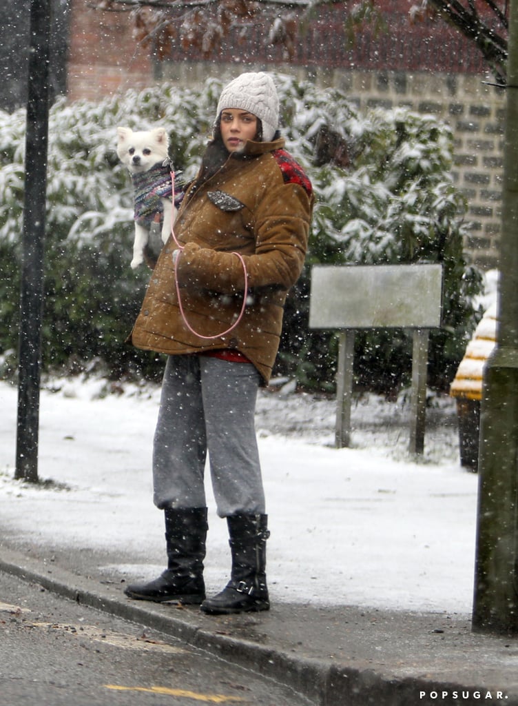 A pregnant Jenna Dewan explored the London snow with her dog in April 2013.