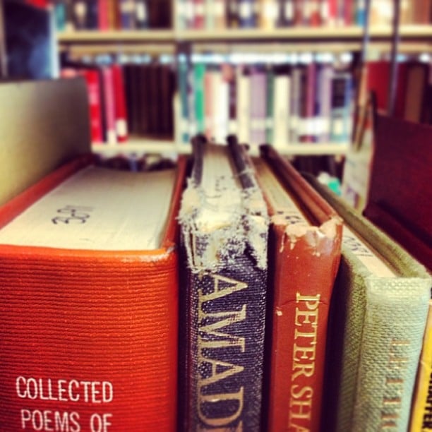 Visit your local library and pick books for each other.