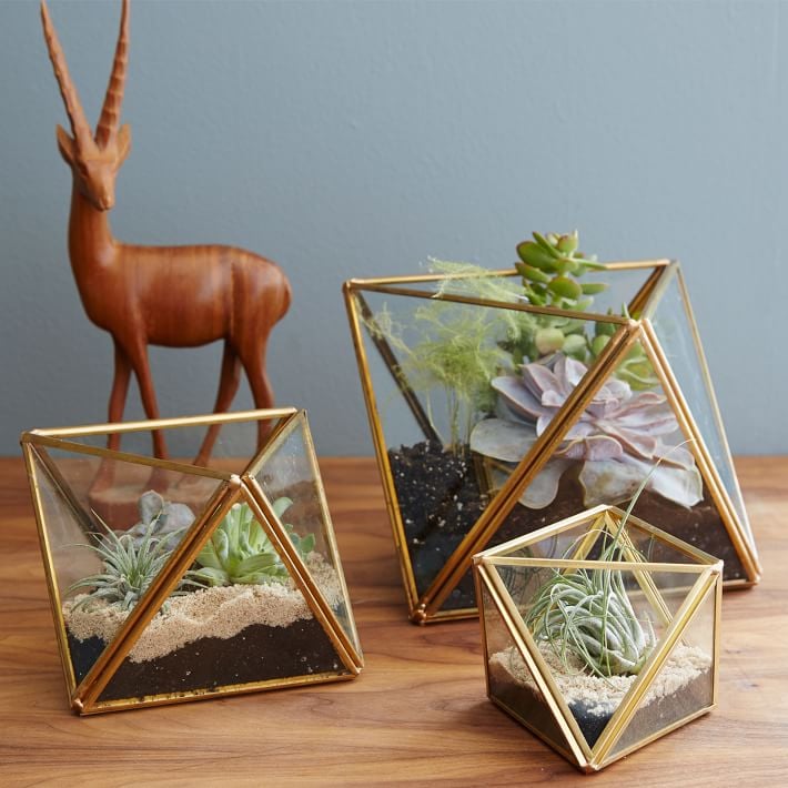 For the Mom Who Loves Plants: Faceted Terrariums