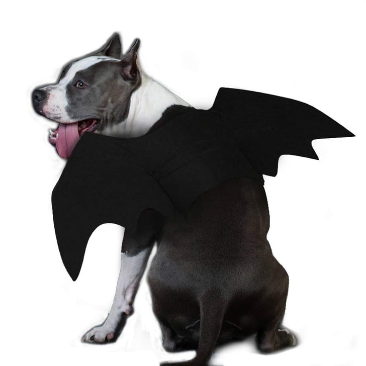 Dog Bat Costume | Best Costumes For Dogs | POPSUGAR Pets Photo 70