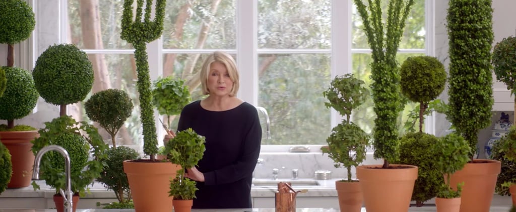 Martha Stewart and Snoop Dogg's T-Mobile Super Bowl Ad
