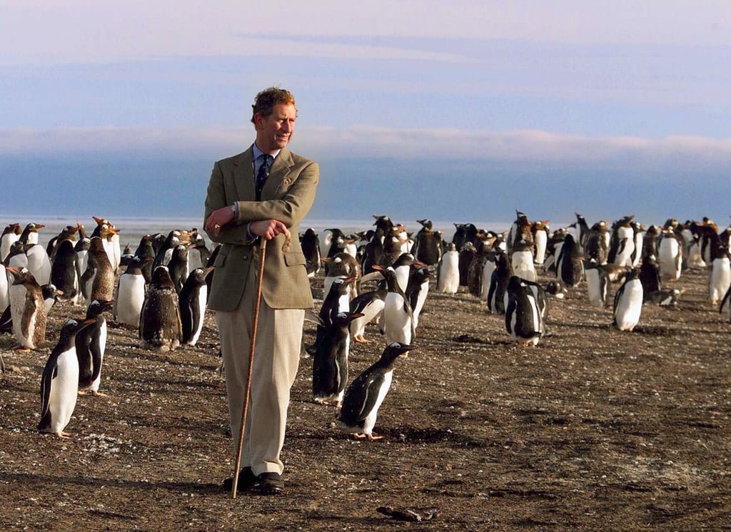 Photos of Prince Charles With Animals