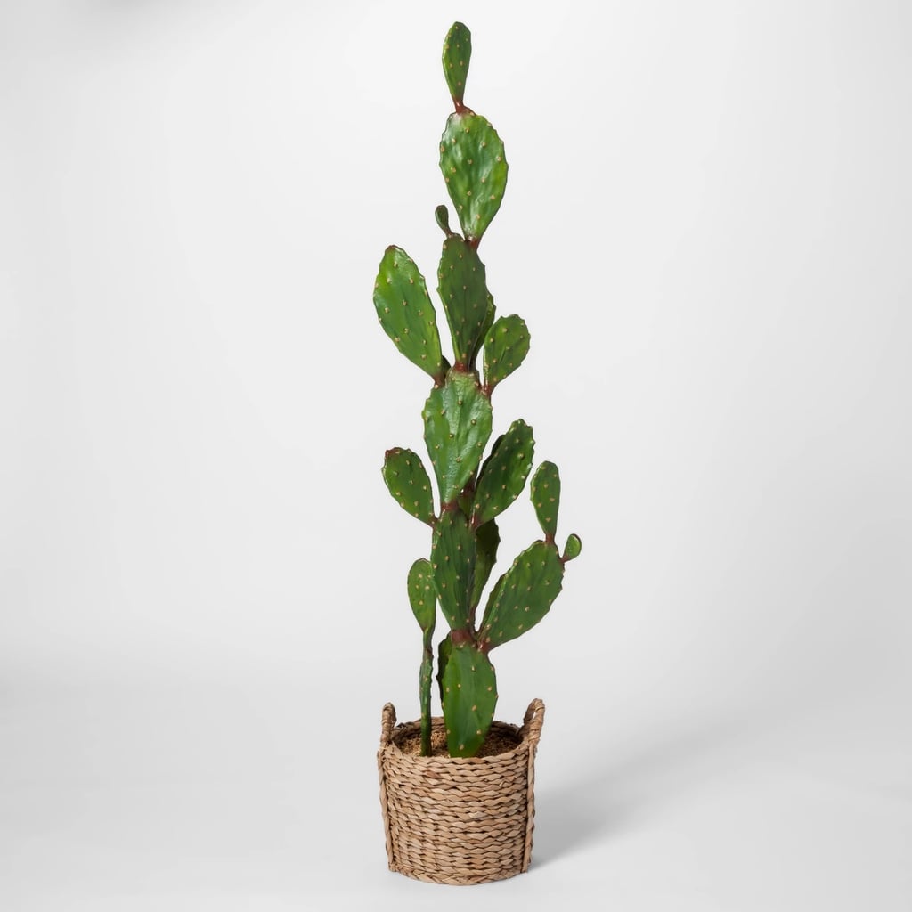 Get the Look: Artificial Cactus