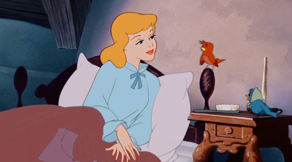 Facts About Cinderella