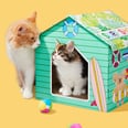 From Surf Shops to Taco Trucks, These 12 Cat Scratch Houses Are Purrfect For Summer