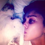 Jessica Alba Mourns the Loss of Dog Bowie Nearly 2 Weeks After Saying Goodbye to Her Pug