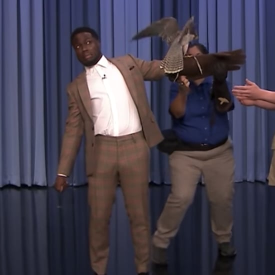 Robert Irwin and Kevin Hart on Tonight Show September 2018