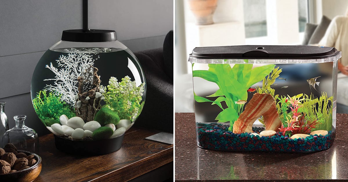 CAREOPETA 22litre Fish Tank Aquarium rectangle for Home small(Size