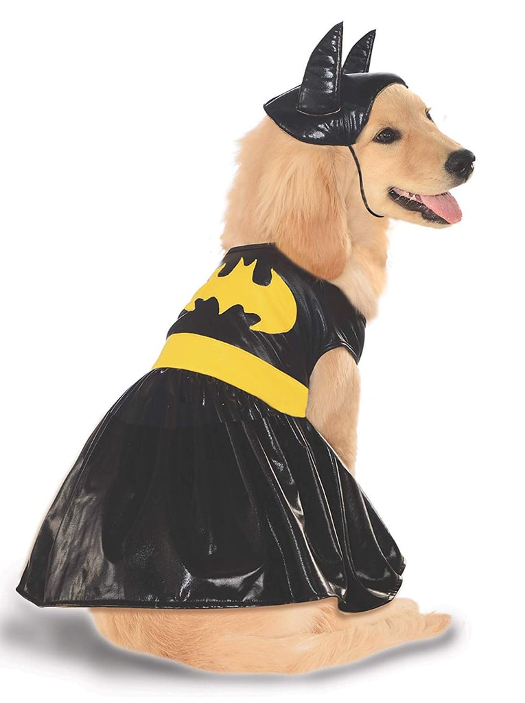 Batgirl DC Comics Pet Costume