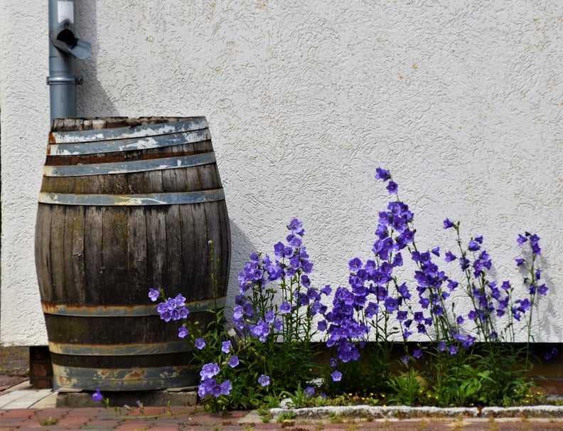 Use a Rain Barrel