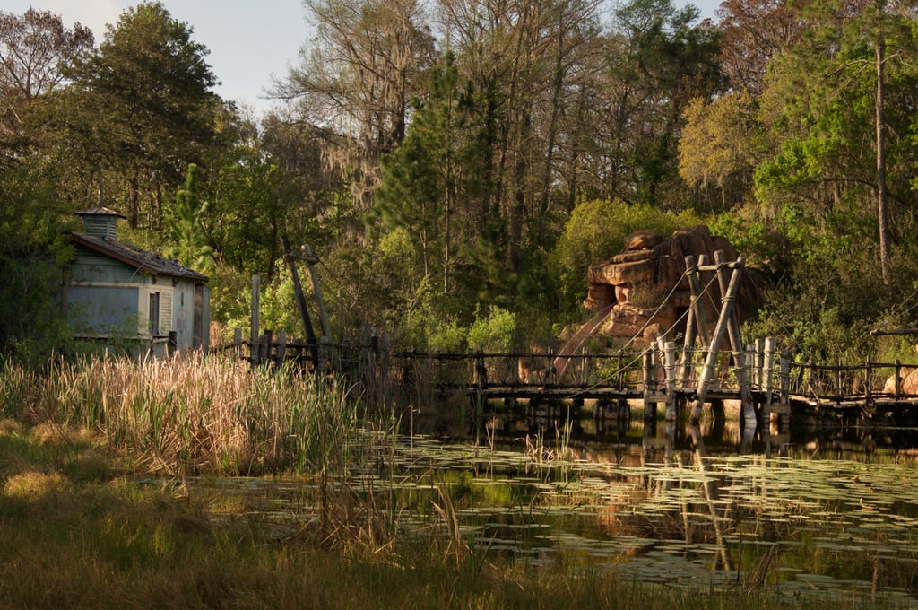 Abandoned Disney Park Photos