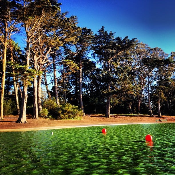 Spend the Day in Golden Gate Park