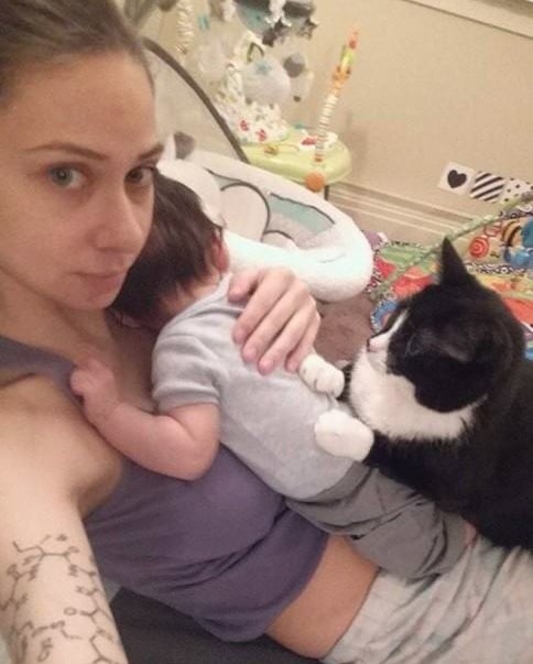 Cat Taking Care of Baby