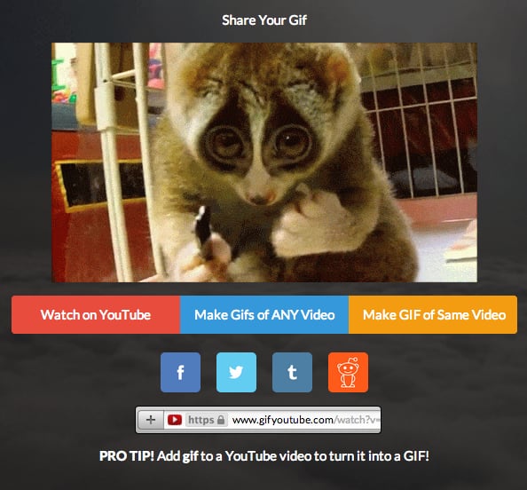 Copy the share URL and paste it in your browser to open the GIF in a new tab. Drag the GIF onto your desktop.