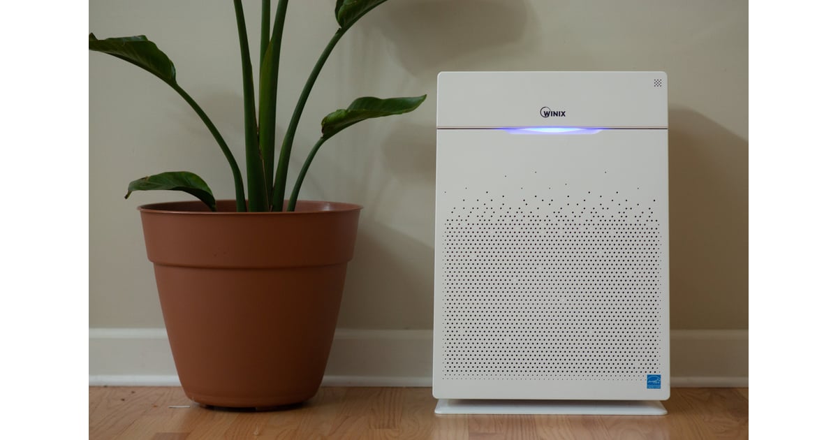 Winix Ultimate Pet Air Purifier With True HEPA Filter Best and Top