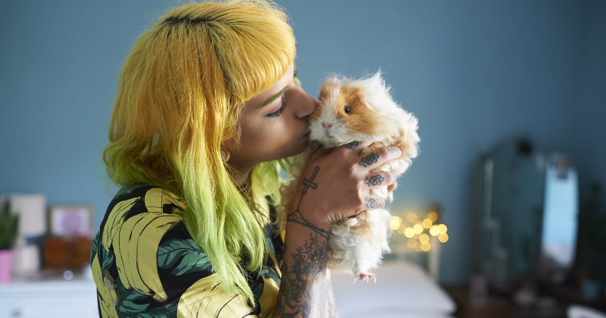 Easiest pets hot sale to keep
