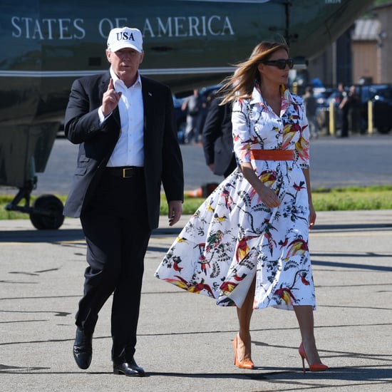 Melania Trump Erdem Parrot Dress