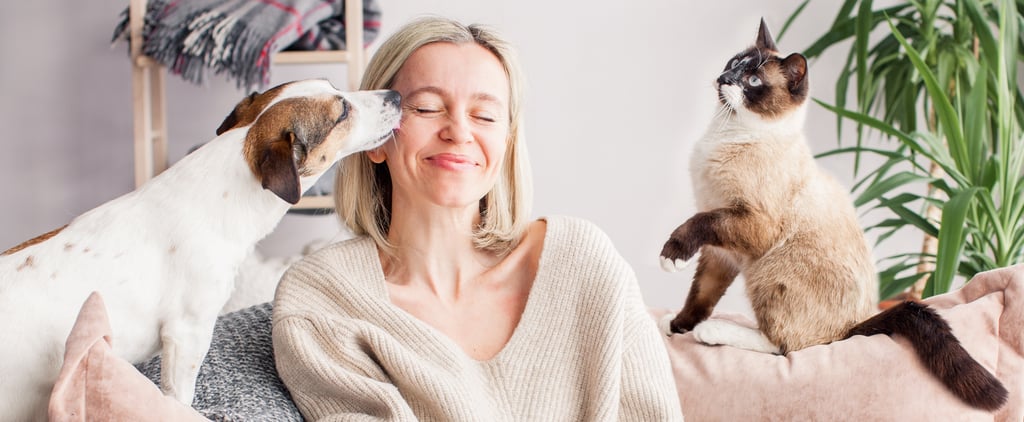 Pet Products to Have on Hand at All Times